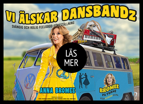 Vi älskar Dansbandz